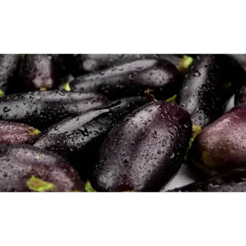 Brinjal (19)-6926071-74455.webp